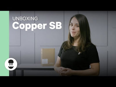 Wallbox Copper SB - 2,3kW à 22kW